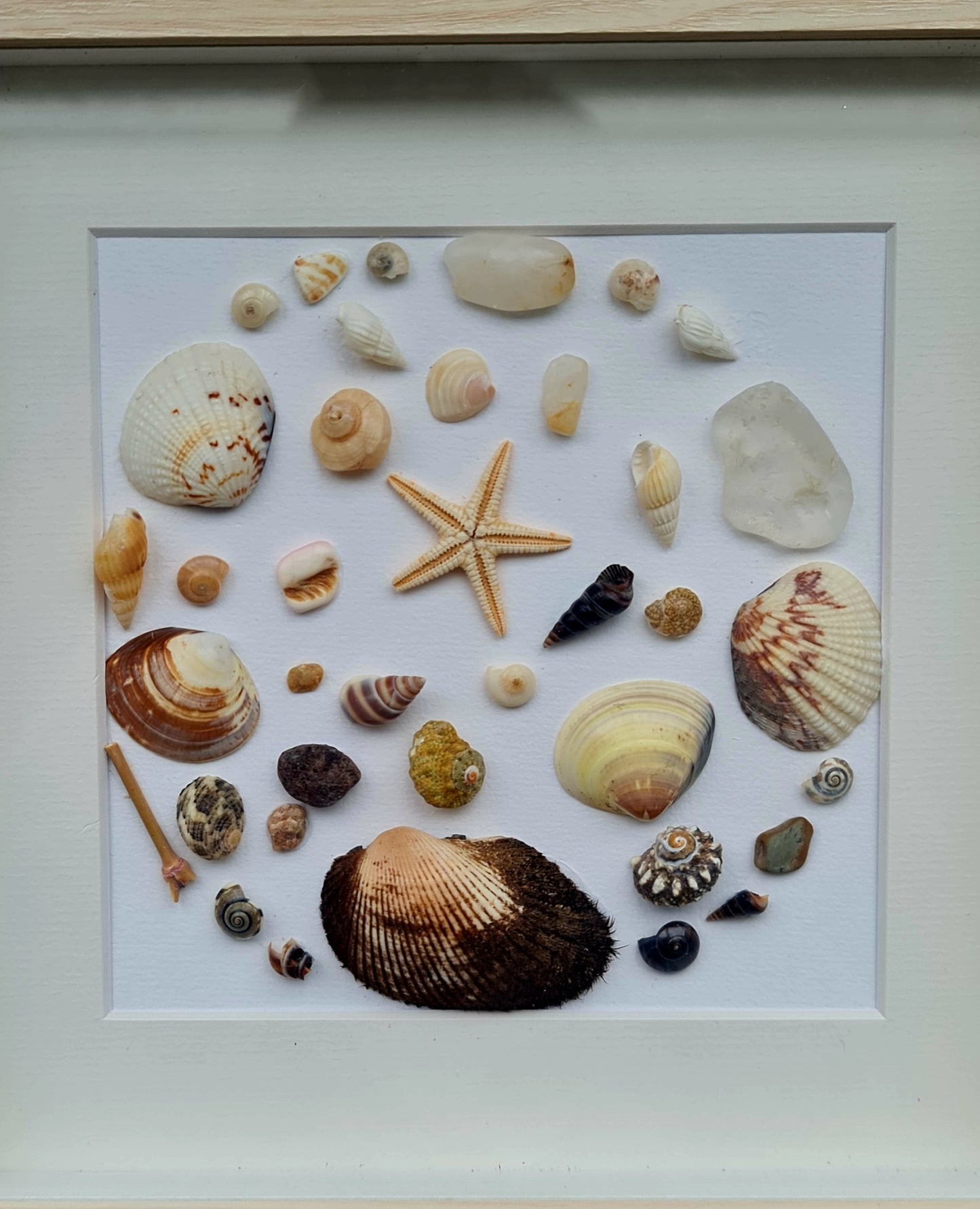 Étoile des Sables / Star of the Sands
Tableau décoratif en coquillages, verre de mer et étoile de mer – Création artisanale et durable
Seashell and sea glass wall art – Handmade and eco-friendly coastal decor